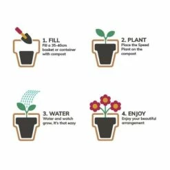 Pansy Cool Wave® Mixed Speed Planter for Hanging baskets -June Plants Sales Store PL6216 add image 1 dadc